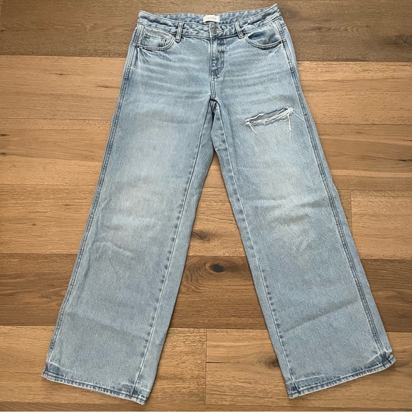 PacSun Denim - Pacsun Casey Jeans - Low Rise Baggy Distressed